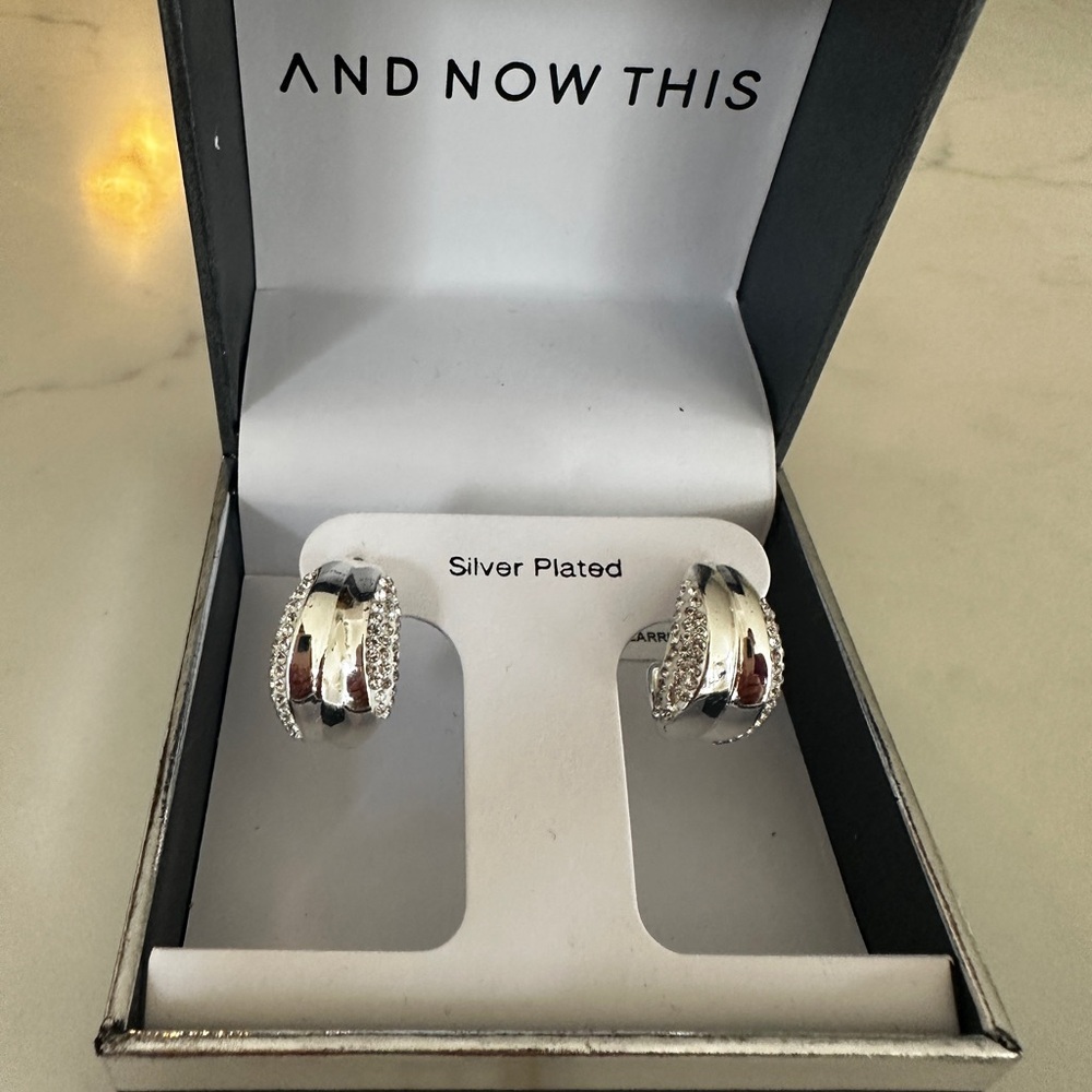 Silver Plated Hoop Earrings